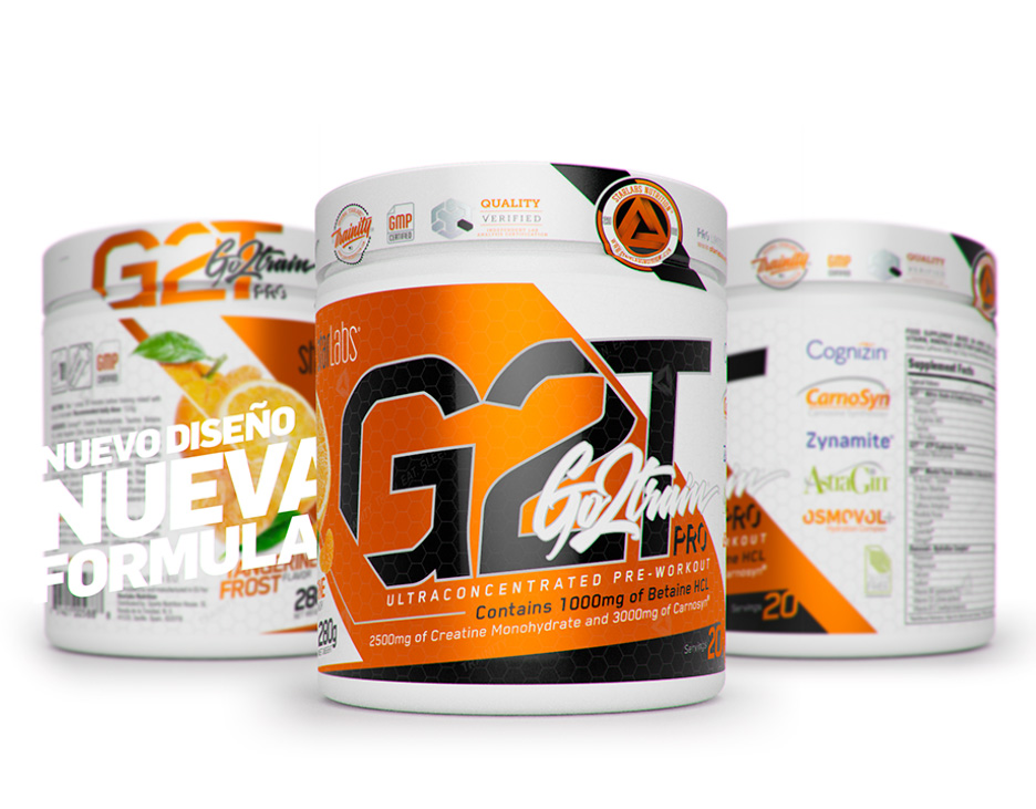 Header Home G2T MOBILE Es